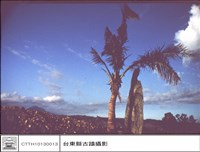 藏品(全景)的圖片