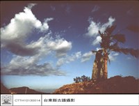 藏品(全景)的圖片