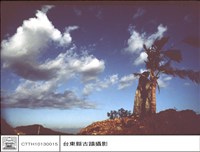 藏品(全景)的圖片