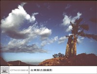 藏品(全景)的圖片