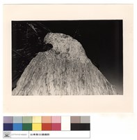 藏品(全景)的圖片