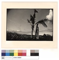 藏品(全景)的圖片