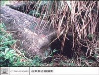 藏品(巨石棺材特寫)的圖片