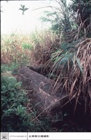 藏品(巨石棺材特寫)的圖片