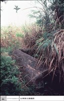 藏品(巨石棺材特寫)的圖片