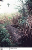 藏品(巨石棺材特寫)的圖片