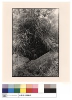 藏品(石棺)的圖片