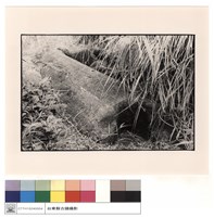 藏品(石棺)的圖片