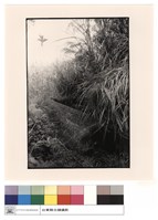 藏品(石棺)的圖片