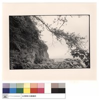 藏品(浪海)的圖片