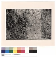 藏品(火山岩)的圖片