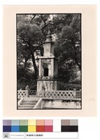 藏品(全景)的圖片