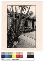 藏品(大殿外觀)的圖片