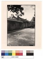 藏品(背觀)的圖片