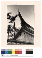 藏品(燕尾)的圖片