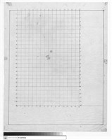 藏品(格子)的圖片