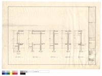 藏品(剖面圖)的圖片