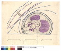 藏品(N/A)的圖片