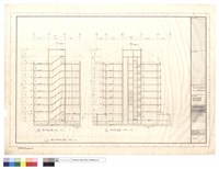 藏品(縱向、橫向剖面圖)的圖片