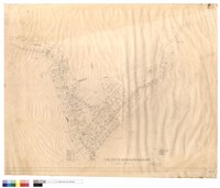 藏品(工程道路、房基高程及擋土牆位置圖)的圖片