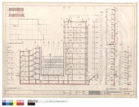 藏品(縱向剖面圖)的圖片