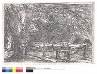 藏品(N/A)的圖片