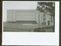 藏品(N/Ａ)的圖片