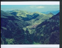 藏品(N/Ａ)的圖片