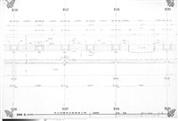 藏品(黃龍 平面)的圖片