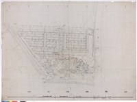 藏品(全區平面圖)的圖片