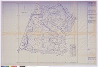 藏品(地形圖)的圖片