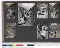 藏品((無圖名))的圖片