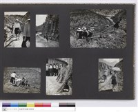 藏品((無圖名))的圖片