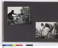 藏品((無圖名))的圖片