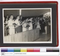 藏品((無圖名))的圖片