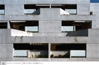 藏品((幻燈片))的圖片