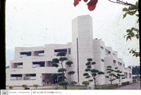 藏品((幻燈片))的圖片