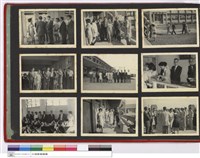 藏品(NULL)的圖片