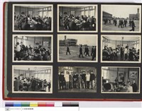 藏品(NULL)的圖片