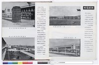 藏品(NULL)的圖片