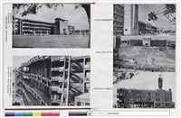 藏品(NULL)的圖片