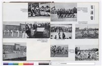 藏品(NULL)的圖片