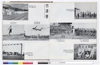 藏品(NULL)的圖片