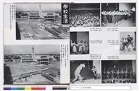 藏品(NULL)的圖片