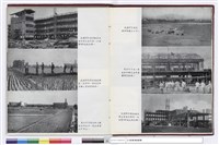 藏品(NULL)的圖片