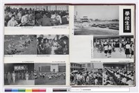 藏品(NULL)的圖片