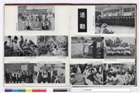 藏品(NULL)的圖片