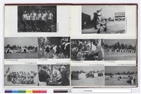 藏品(NULL)的圖片