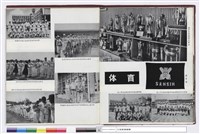 藏品((無圖名))的圖片