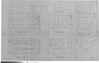 藏品((無圖名))的圖片